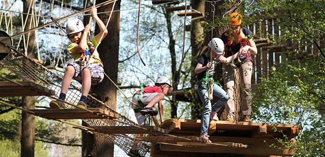 Harderwijk gets a unique climbing forest!